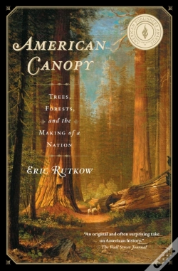 Capa do artigo American Canopy