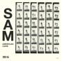 American Car - Vinil - Preview