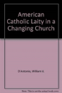 American Catholic Laity In A Changing Church - Preview