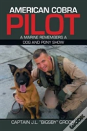 American Cobra Pilot