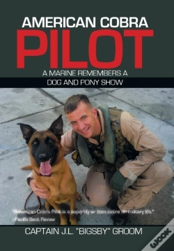 Capa do artigo American Cobra Pilot