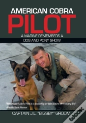 Capa do artigo American Cobra Pilot