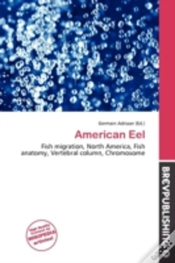 Capa do artigo American Eel
