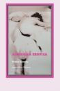 American Erotica - Preview