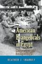 American Evangelicals In Egypt - Preview