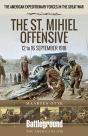American Expeditionary Forces In The Great War - Preview