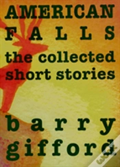 Capa do artigo American Falls