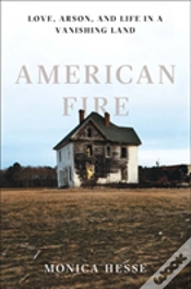 Capa do artigo American Fire