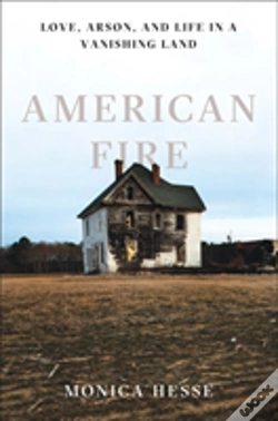 Capa do artigo American Fire