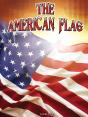 American Flag - Preview
