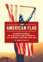American Flag - Preview