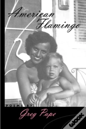 Capa do artigo American Flamingo