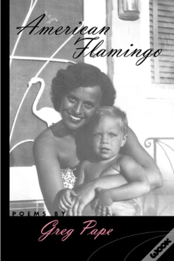 Capa do artigo American Flamingo