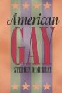 American Gay - Preview