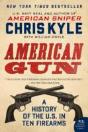 American Gun - Preview