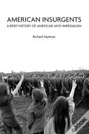 Capa do artigo American Insurgents