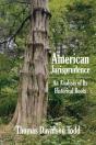 American Jurisprudence: An Analysis Of I - Preview