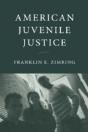 American Juvenile Justice - Preview