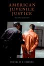 American Juvenile Justice - Preview
