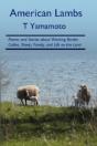 American Lambs: Poems And Stories About - Preview