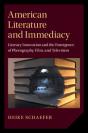 American Literature And Immediacy - Preview
