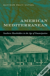 Capa do artigo American Mediterranean