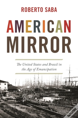 Capa do artigo American Mirror