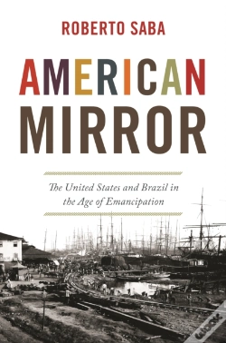 Capa do artigo American Mirror