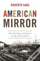 American Mirror