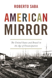 Capa do artigo American Mirror