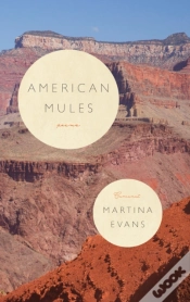 Capa do artigo American Mules