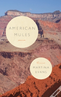 Capa do artigo American Mules