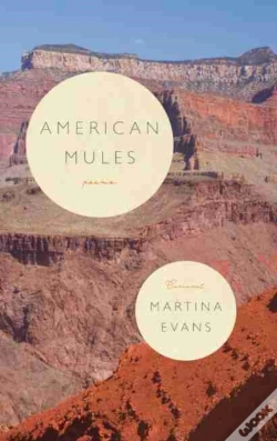 Capa do artigo American Mules