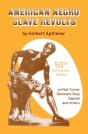 American Negro Slave Revolts - Preview