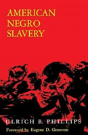 American Negro Slavery - Preview