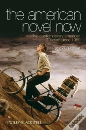 Capa do artigo American Novel Now
