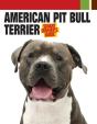 American Pit Bull Terrier - Preview
