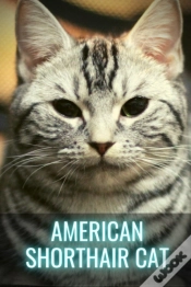 Capa do artigo American Shorthair Cat