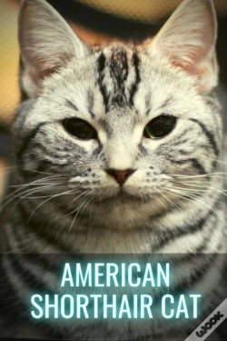 Capa do artigo American Shorthair Cat