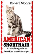 American Shorthair