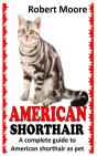 American Shorthair - Preview