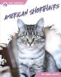 American Shorthairs - Preview
