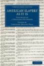 American Slavery As It Is - Preview