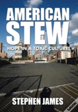 Capa do artigo American Stew