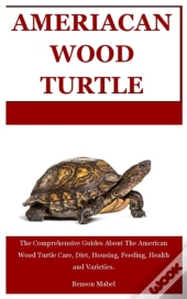 American Wood Turtle