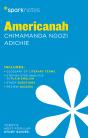 Americanah Sparknotes Literature Guide - Preview