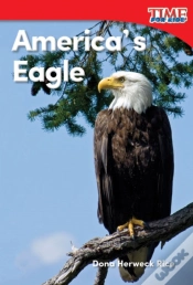 Capa do artigo America