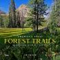 America'S Great Forest Trails - Preview