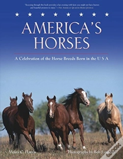 Capa do artigo America'S Horses