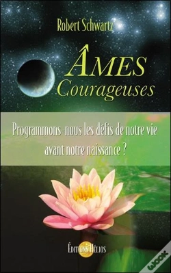 Capa do artigo Âmes Courageuses ; Programmons-Nous Les Défis De Notre Vie Avant Notre Naissance ?